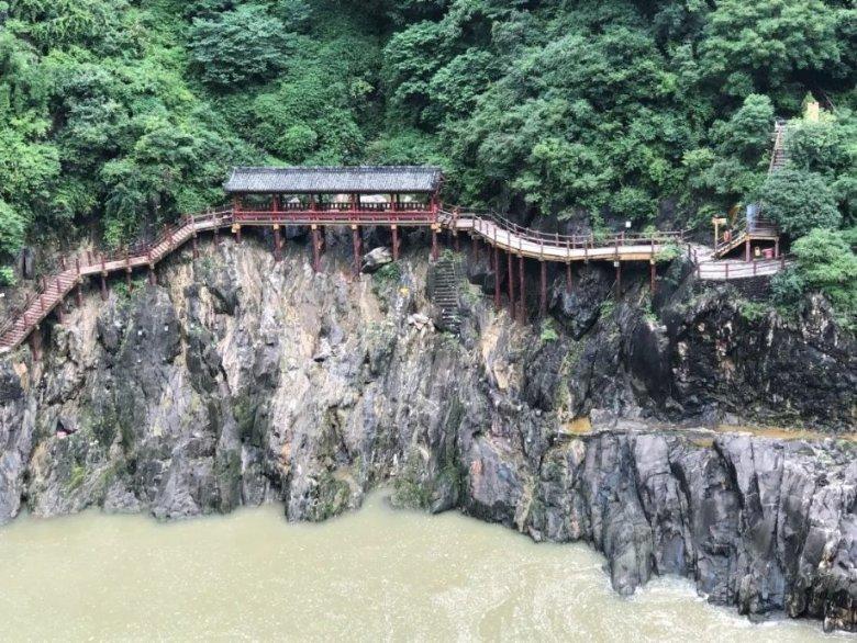 海参排行榜前十名